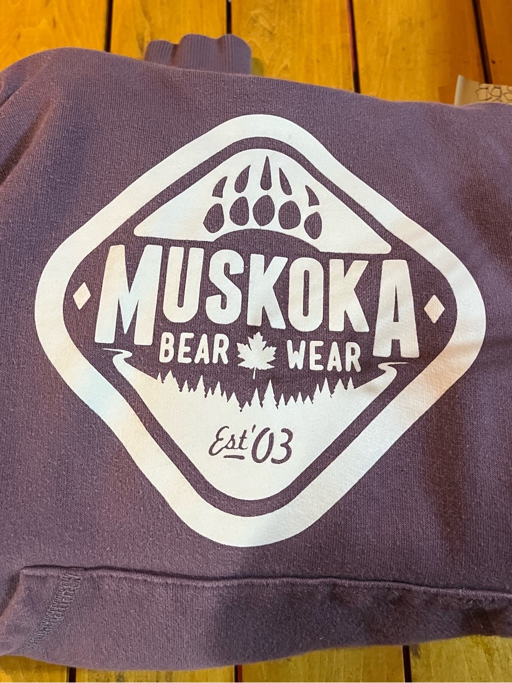 Youth medium Muskoka Bear Wear hoody